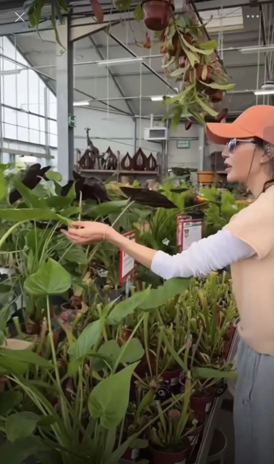 60岁张曼玉迷上当园丁 表示:好开心 好好玩